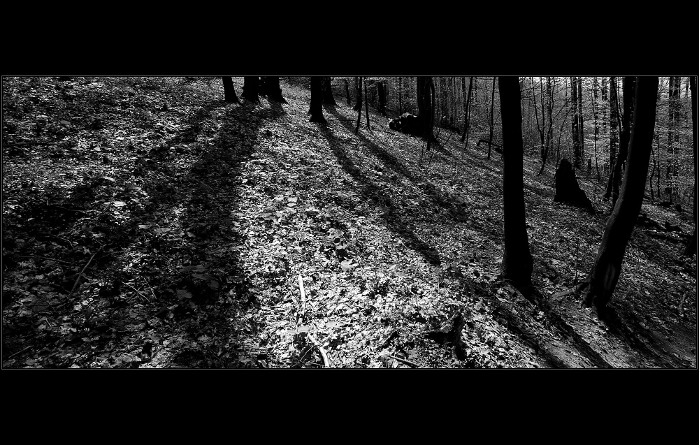 HOSTÝN  065.jpg