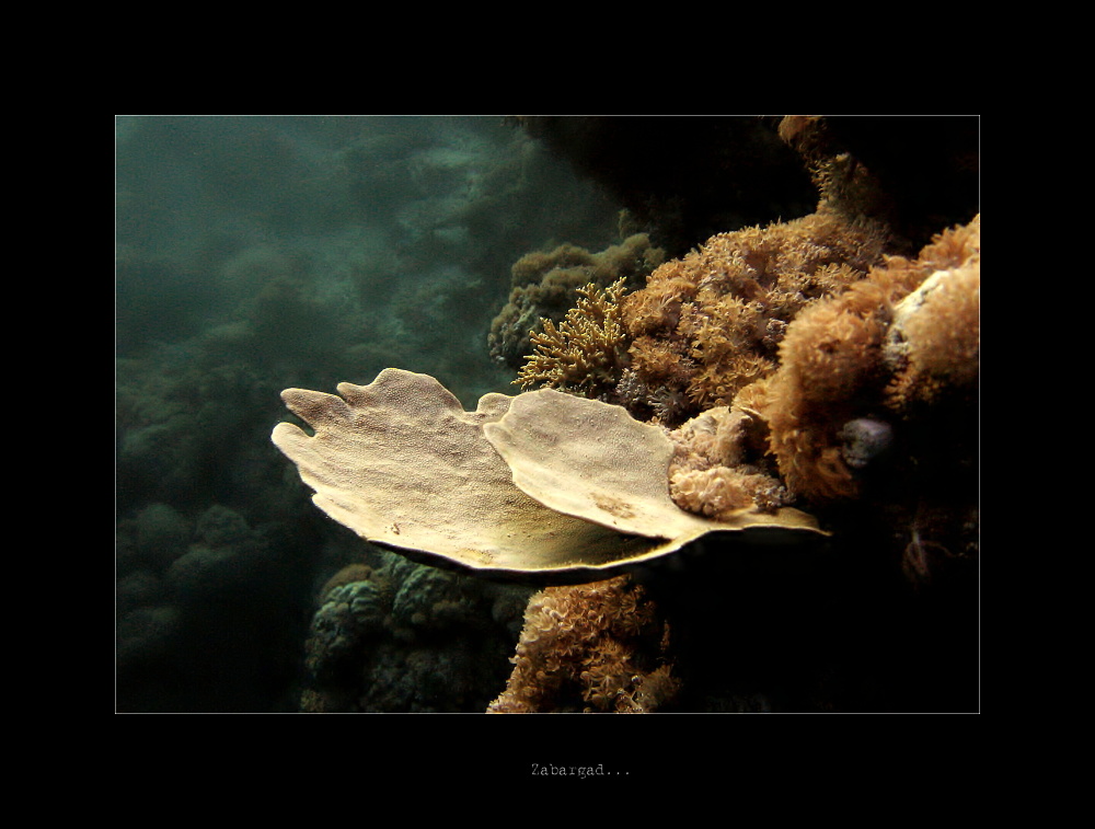 Egypt 2006 058 (3).jpg