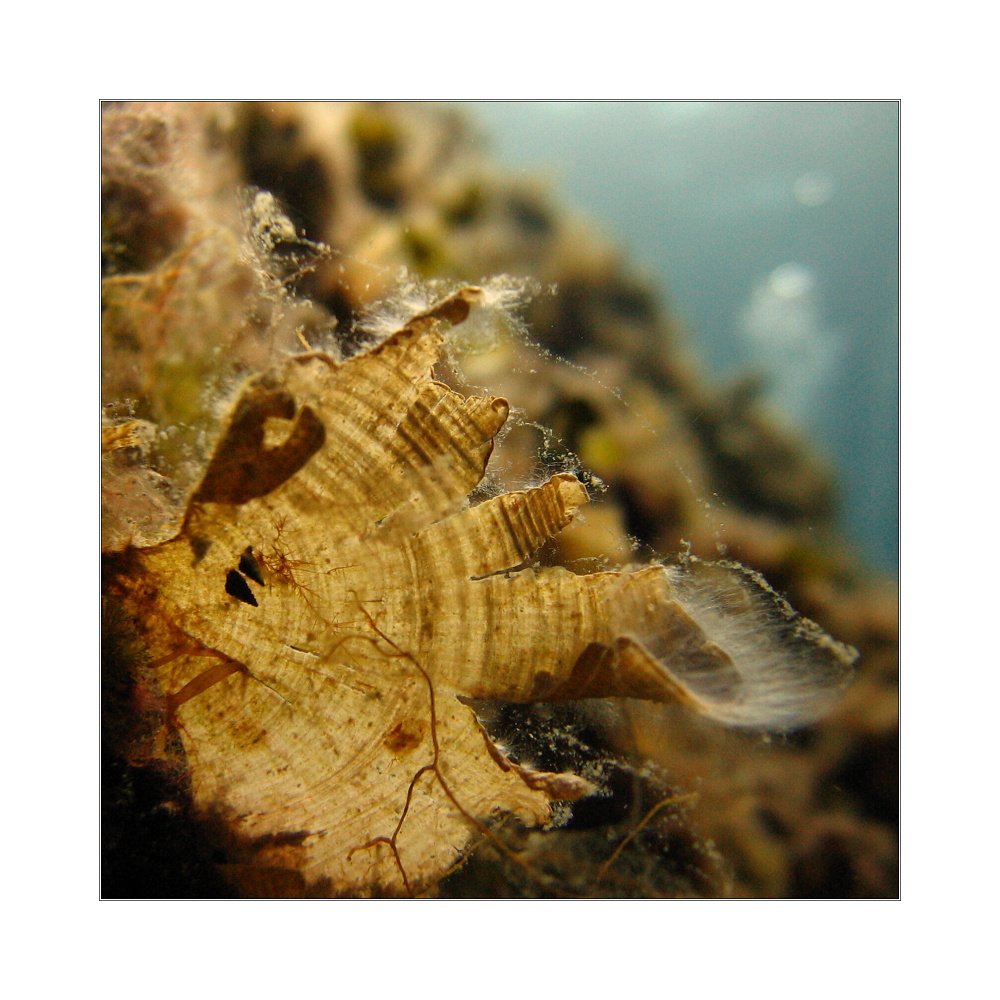 PAG 2008 UW 040 (3).jpg
